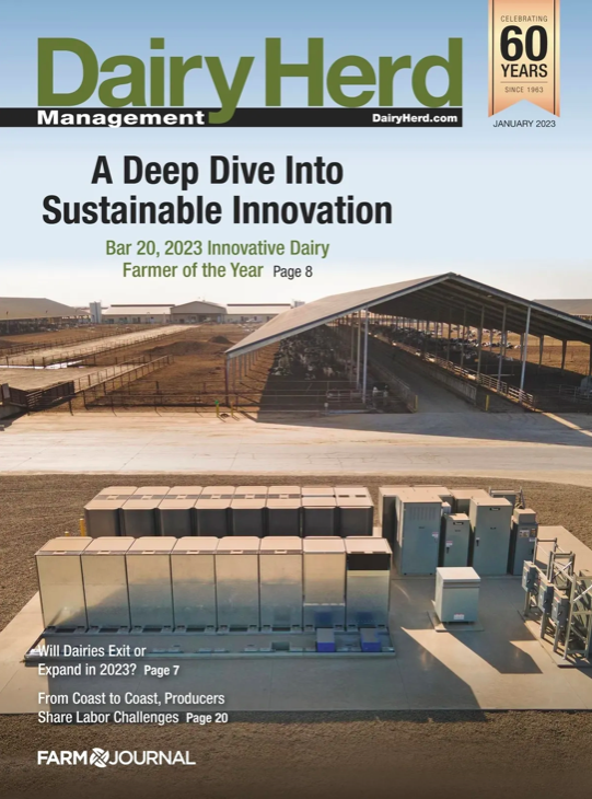 Issue Archive Dairy Herd